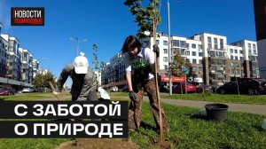 Акция «День в лесу, сохраним лес вместе» стартовала в Мытищах