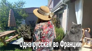 Жила была не скучала.