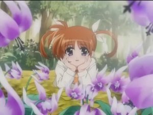 Mahou Shoujo Lyrical Nanoha A's: Ending