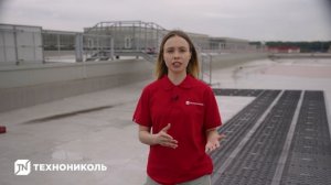 Пешеходная дорожка для плоской кровли LOGICROOF Walk Way Puzzle ТЕХНОНИКОЛЬ