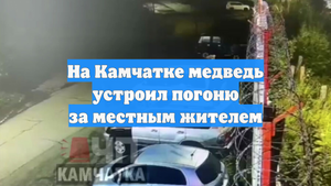 На Камчатке медведь устроил погоню за местным жителем