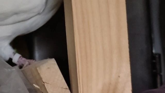 Ястреб не даёт погонять голубей petal_20250919_095232.mp4 смотреть онлайн