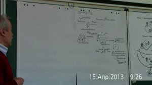 Практика. Наука. Философия. Дилетант. Рутенер. Профессионал. Встреча с собой. 2013