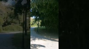 Прогулки по Адлеру. Часть 2.