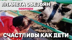 Счастливы как дети. Летний день в зоопарке Планета обезьян. Накормили всех, еле пальцы спасли.