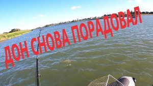 ДОН СНОВА ПОРАДОВАЛ…