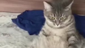 Доброе утро! 🌞