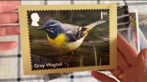 Мои входящие открытки за сентябрь ( 1 часть)