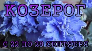 КОЗЕРОГ таро прогноз на неделю с 22 по 28 СЕНТЯБРЯ 2025 года.