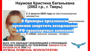 В Приморье предложили временно запретить возвращение в РФ транспортных компаний