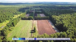 Илья Середюк поздравил работников лесного комплекса с профессиональным праздником