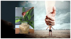 Домашний квас для очищения печени и почек