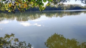 19-09-2025. Озеро в Сосновке..