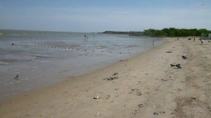 Plyag topol 18052019