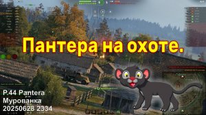 Пантера на охоте. P.44 Pantera. Мурованка. 20250628 2334.