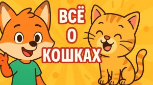 Все о кошках для детей. Развивающее видео о кошках детям.