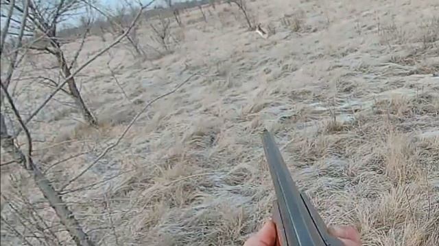 Охота на зайца , без снега смотреть онлайн