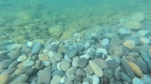 VID_20250830_091539.mp4