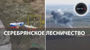 Элитные войска ВСУ бросили мобилизованных в Серебрянском лесничестве | Муравка в ДНР за РФ