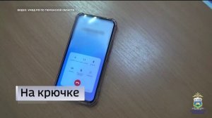 Жительница Ялуторовска перешла по ссылке и осталась без денег