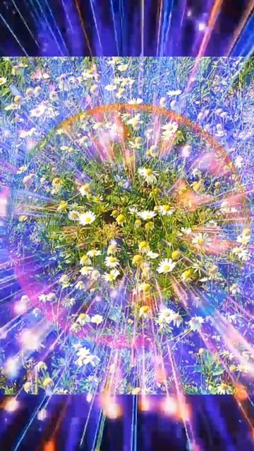 2025-03-24-203736723.mp4