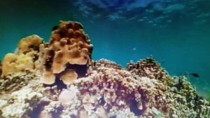 Она состарились красиво. читает автор Богдан Бандура.