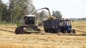 В Свердловской области продолжается уборочная кампания. Панорама 19.09.25