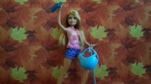 Обзор на куклу Барби Стейси на Скейте*Barbie Stacie & Scooter