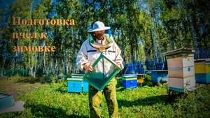 Объединяем рои, подготовка пчел к зимовке