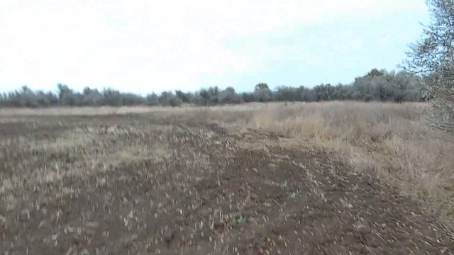 Открытие охоты 2024 2025 на зайца смотреть онлайн