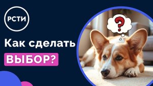 Эпизод 26. Трудный выбор