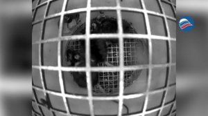 «Бион-М» доставил на Землю уникальный груз: 75 мышей и 1500 мух, побывавших в космосе