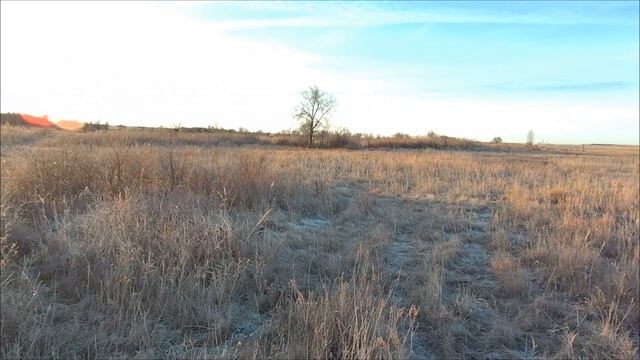 Охота на зайца 9.12.2024 Самая быстрая охота из всех смотреть онлайн