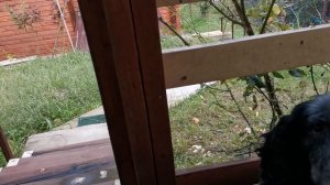 СОЧИ ГОРНОЕ ЛОО ВЕЧЕР 19.09.2025