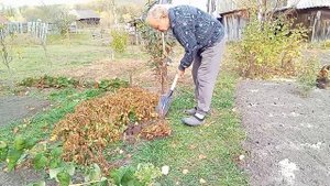 Необычное растение.