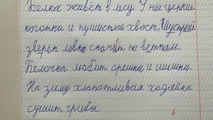 Трансляция как я делаю лифт