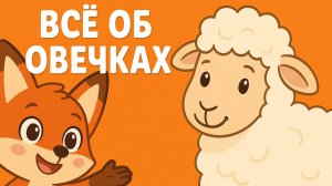 Развивающее видео для детей об овцах.