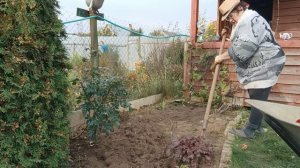 / Дачная хроника - 2025 /