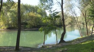 Как сохранить леса вокруг городов