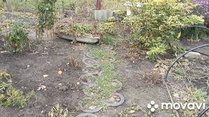 19 сентября одну комнату отремонтировали.Собрала помидоры,перец.Покупка на Вайлдберриз