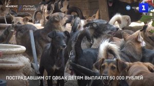 Пострадавшим от собак детям выплатят 50 000 рублей