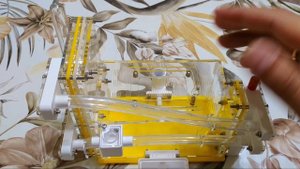 Собрал формикарий 🐜 Обзор готового муравьиного дома