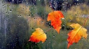 Влюблённый дождь - .сл., видеоряд Вера Абрамова  муз. исп. Виталий Галушко, Аранж. Александр Тюрин