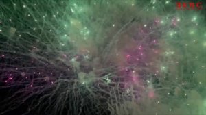 Тульская область, Донской. День города 2023