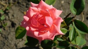 15=09=2025  ник   (122)