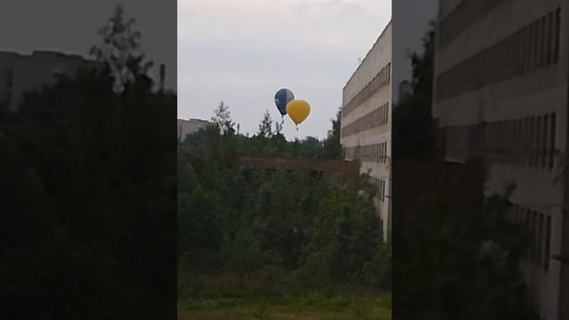 ec1548f8-ac49-4640-8f30-ca164ec9650d-watermark~2.mp4