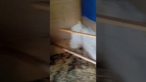 Лучшие гнёзда для кур несушек!