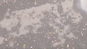 про вертолёты