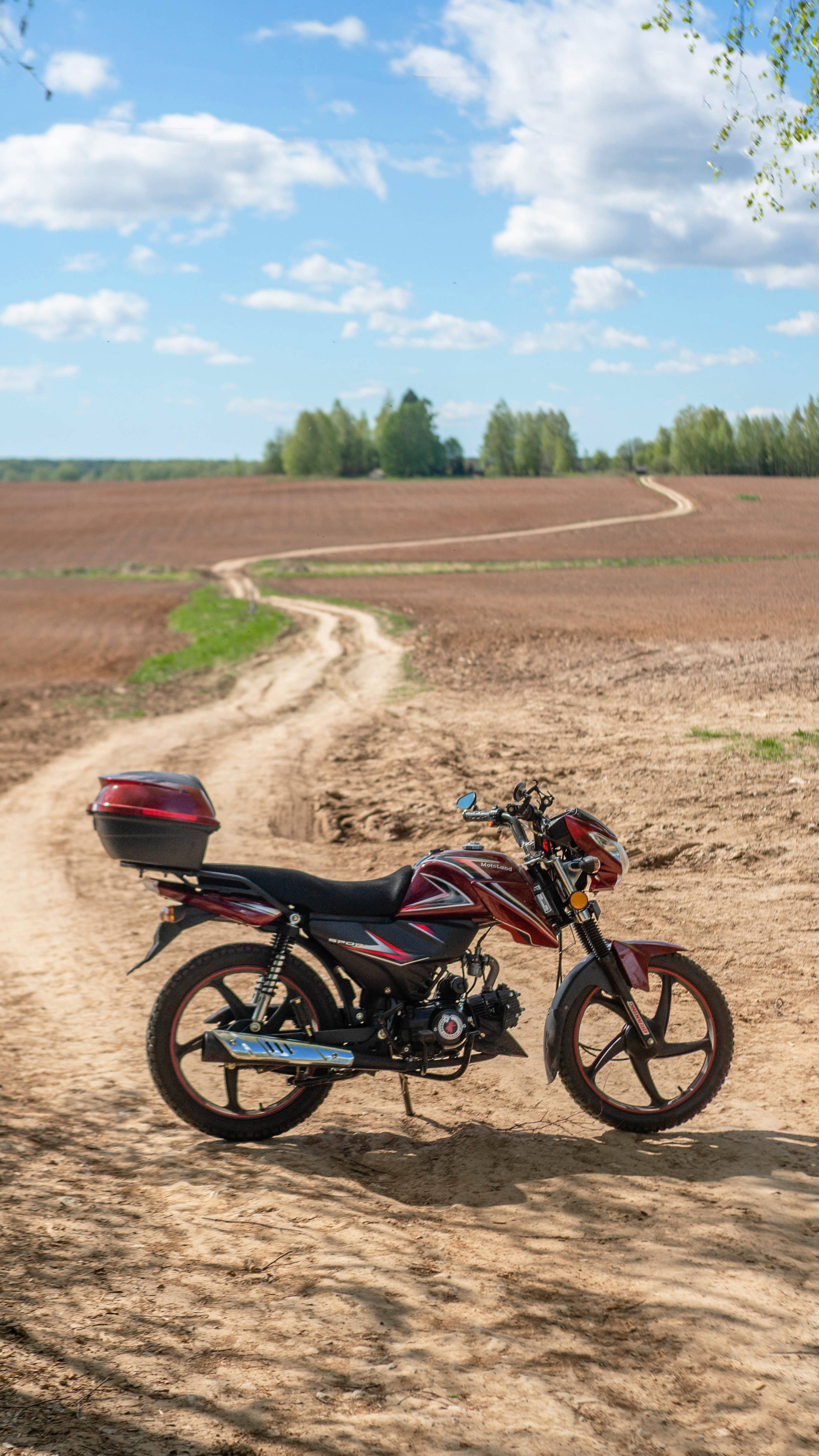 Мопед Альфа Рулит!!! смотреть онлайн