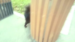 1000001504.mp4